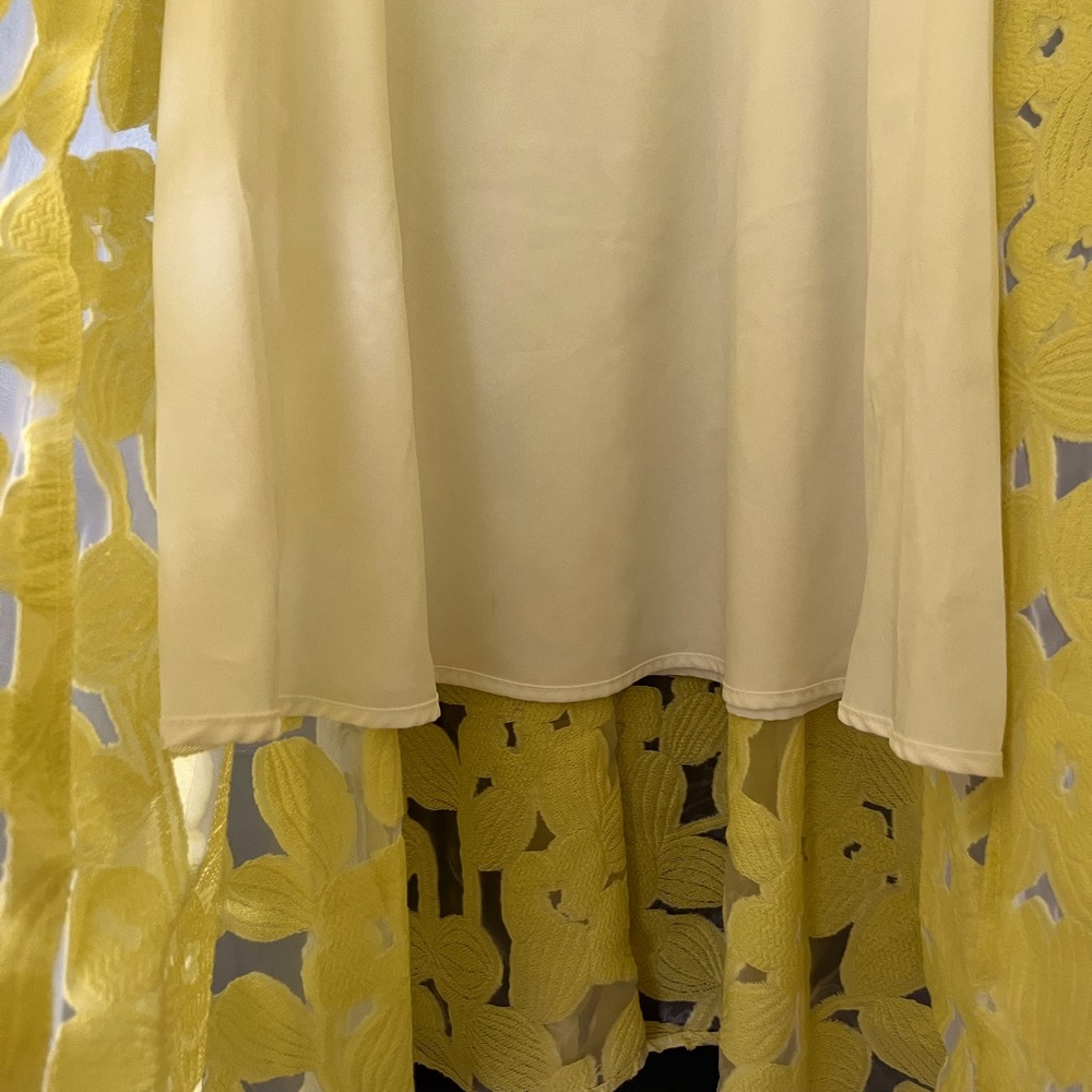 Antonio Melani Leta Organza Jacquard lace midi dress - Picture 5 of 6